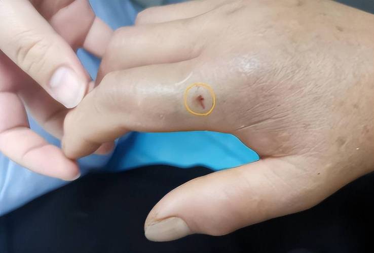 下载中心 第8页