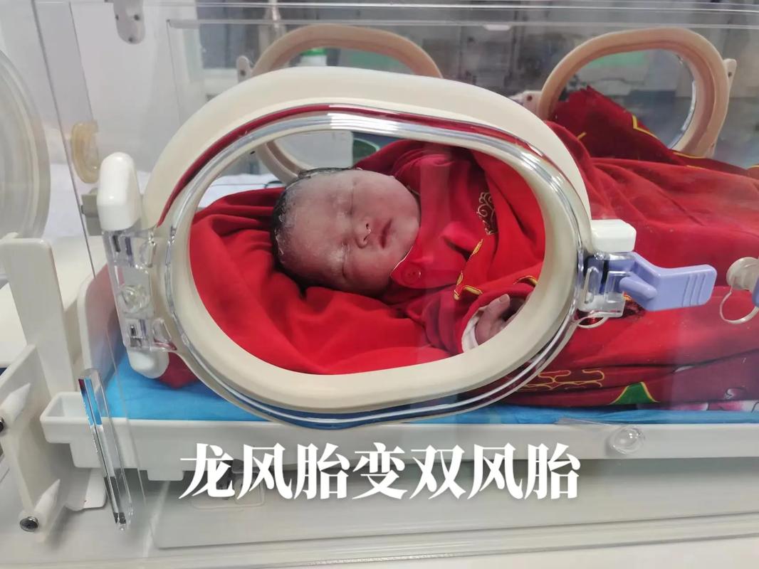双胞胎考场外跪爷爷,双胞胎兄弟跪求母亲回家