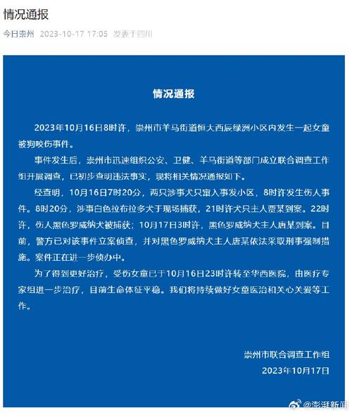 狗闯村民家咬伤女童,村里的狗咬人,应该找谁解决